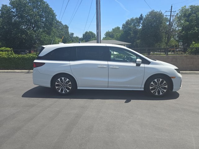 2025 Honda Odyssey Elite
