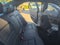 2010 Mercedes-Benz E 350 Base